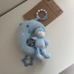 Music Pull Toy 