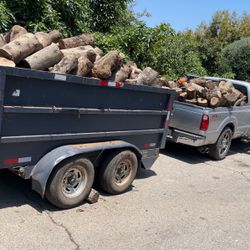 Firewood 