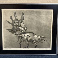 Midcentury Woodblock Print by listed Texas artist Barbara Hughes "Spider Conch"
