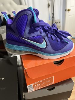 Nike Lebron 9 Hornet