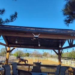 Security Cameras ⭐⭐⭐⭐⭐