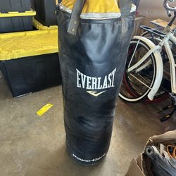 Everlast Punching Bag 