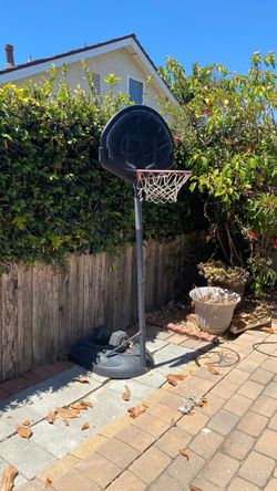 Mini basketball hoop