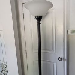 Torchiere Floor Lamp
