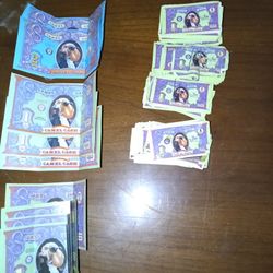 BUNCH OF CAMEL CASH