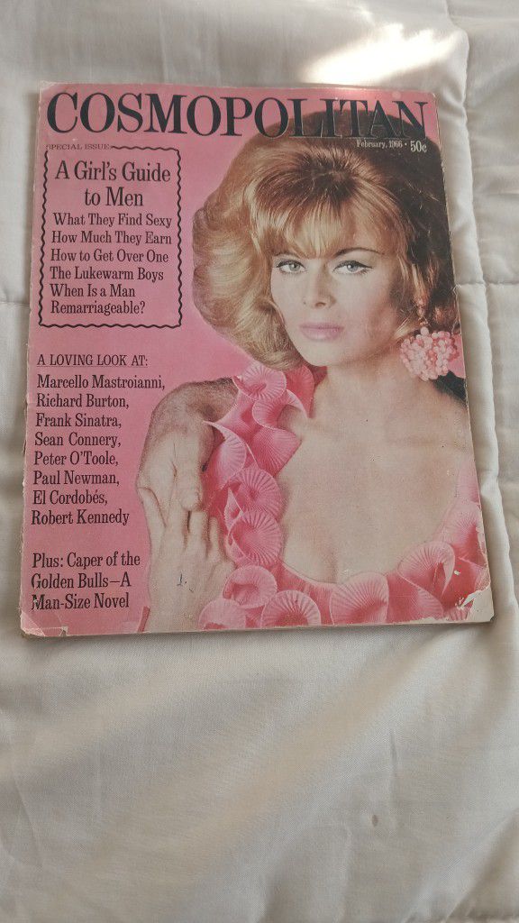 1966 February Cosmopolitan Magazine, RENATA 