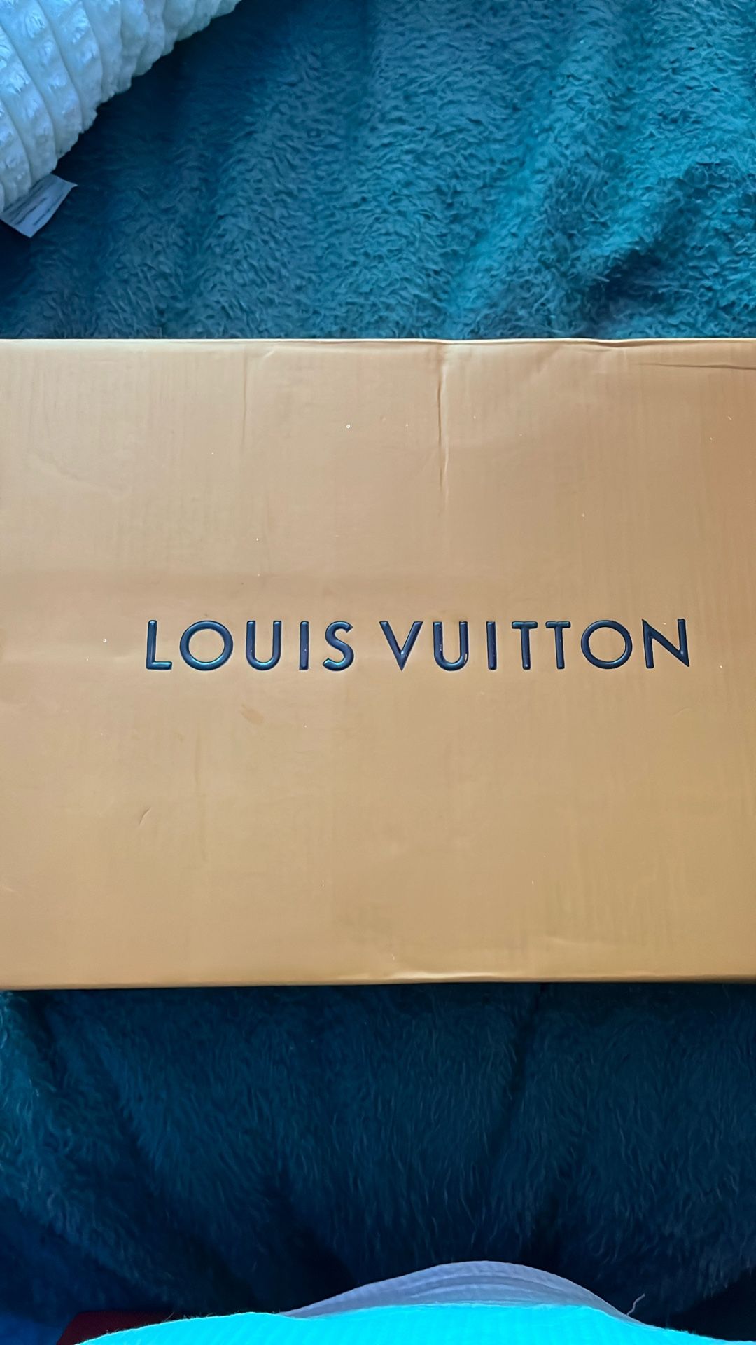 Louie Vuitton Trainer Low Size 11 Denim