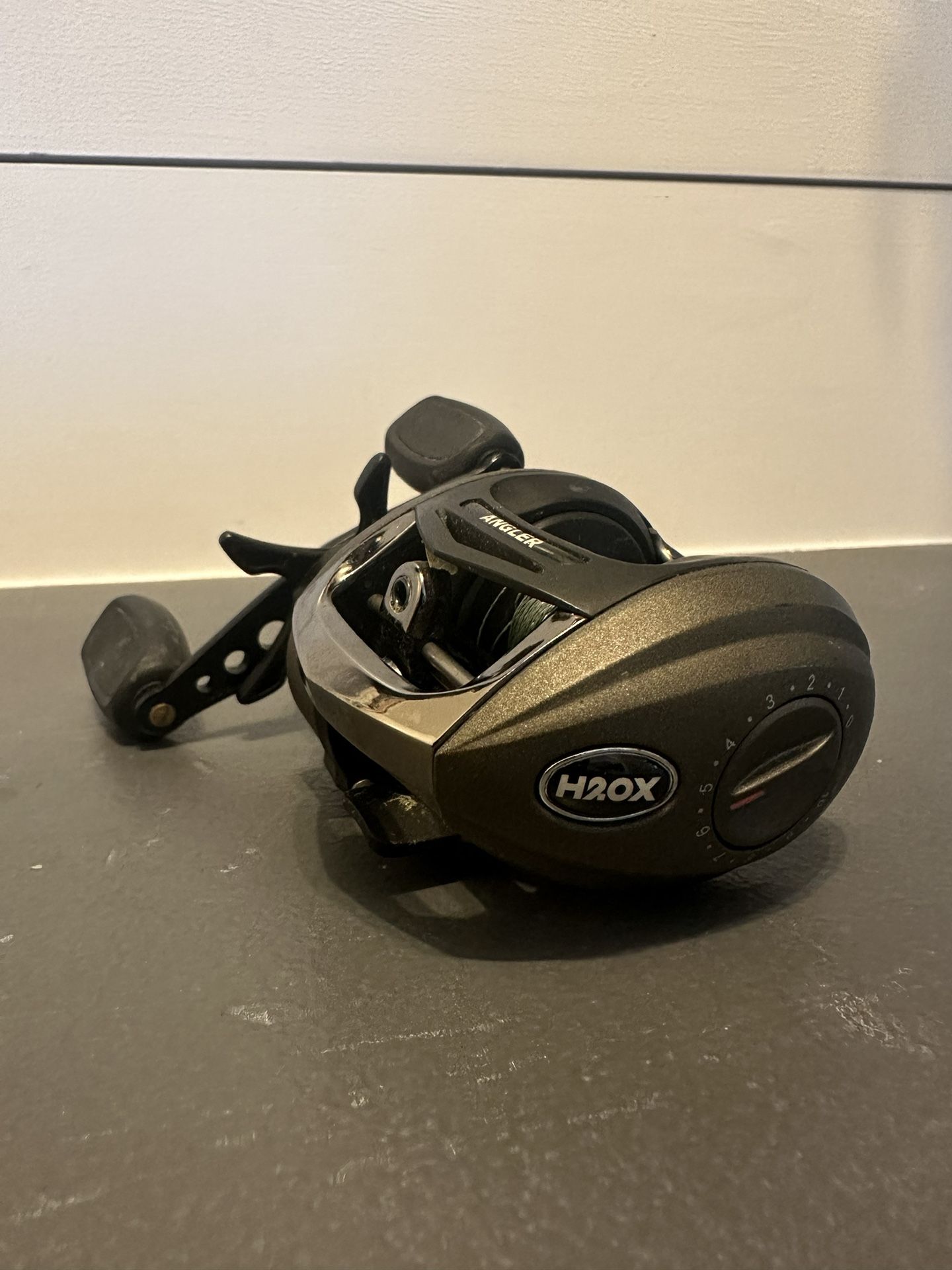 H2Ox Bait caster