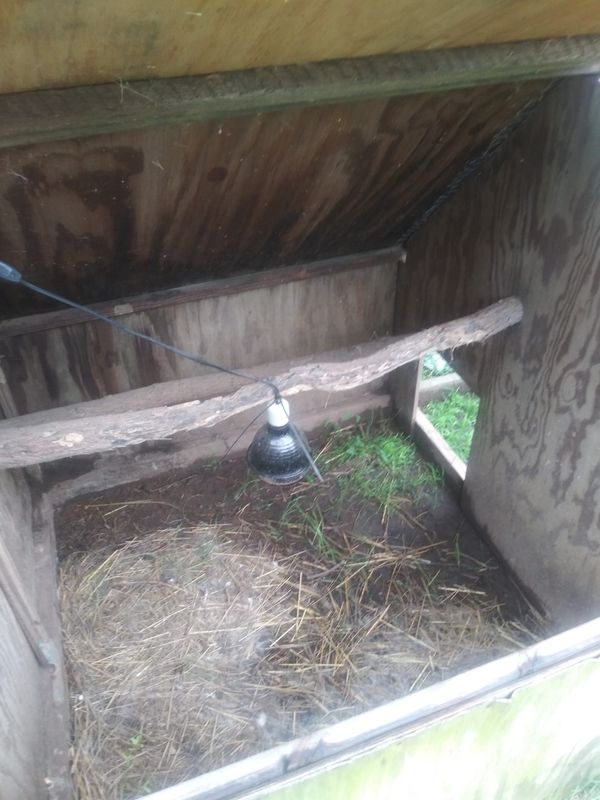 New And Used Dog House For Sale In Memphis Tn Offerup