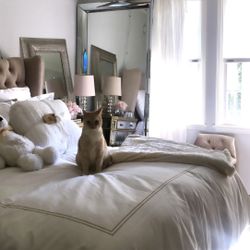 Plug In Chandelier 14 Inch 