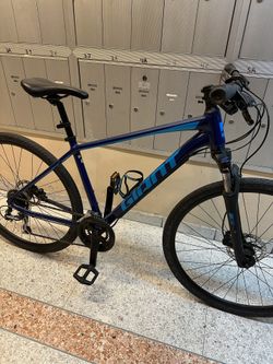 Giant roam 3 hotsell disc 2020 review