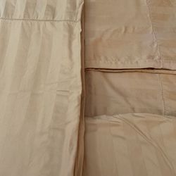 Queen Sheet Set  Gold - 100% Egyptian Cotton - Springmaid