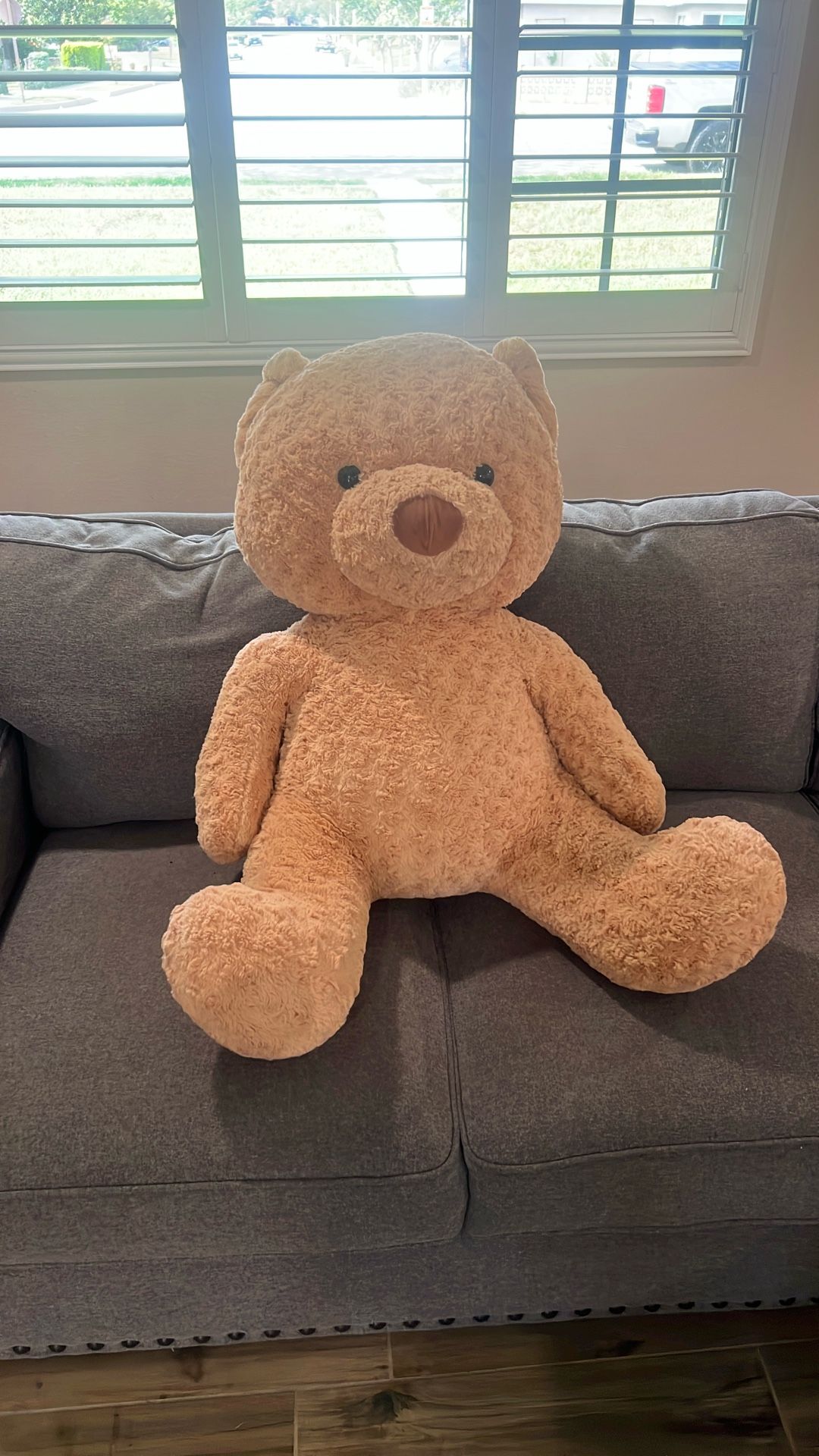 Giant Teddy Bear