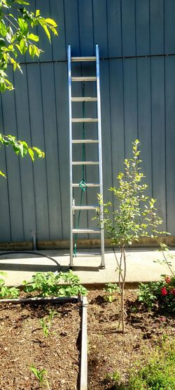 20ft Extension Ladder