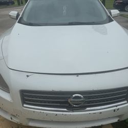 nissan maxima 2010 