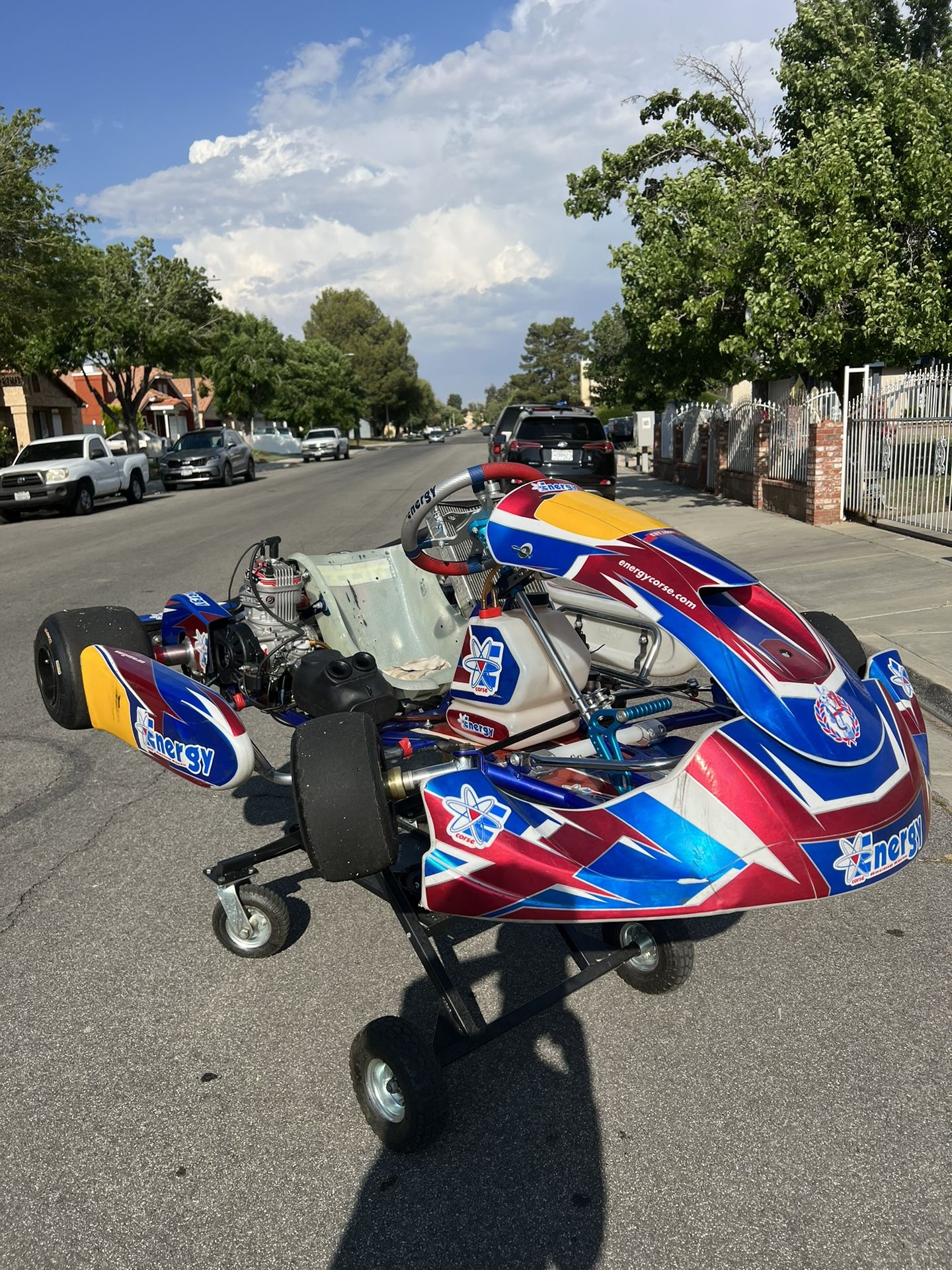 2020 Energy X30 Go Kart! 