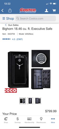 Big Horn Safe ! Brand New!