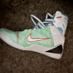 Nike Kobe 9 Elite Protro