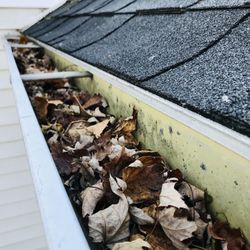 Gutter Cleaning 