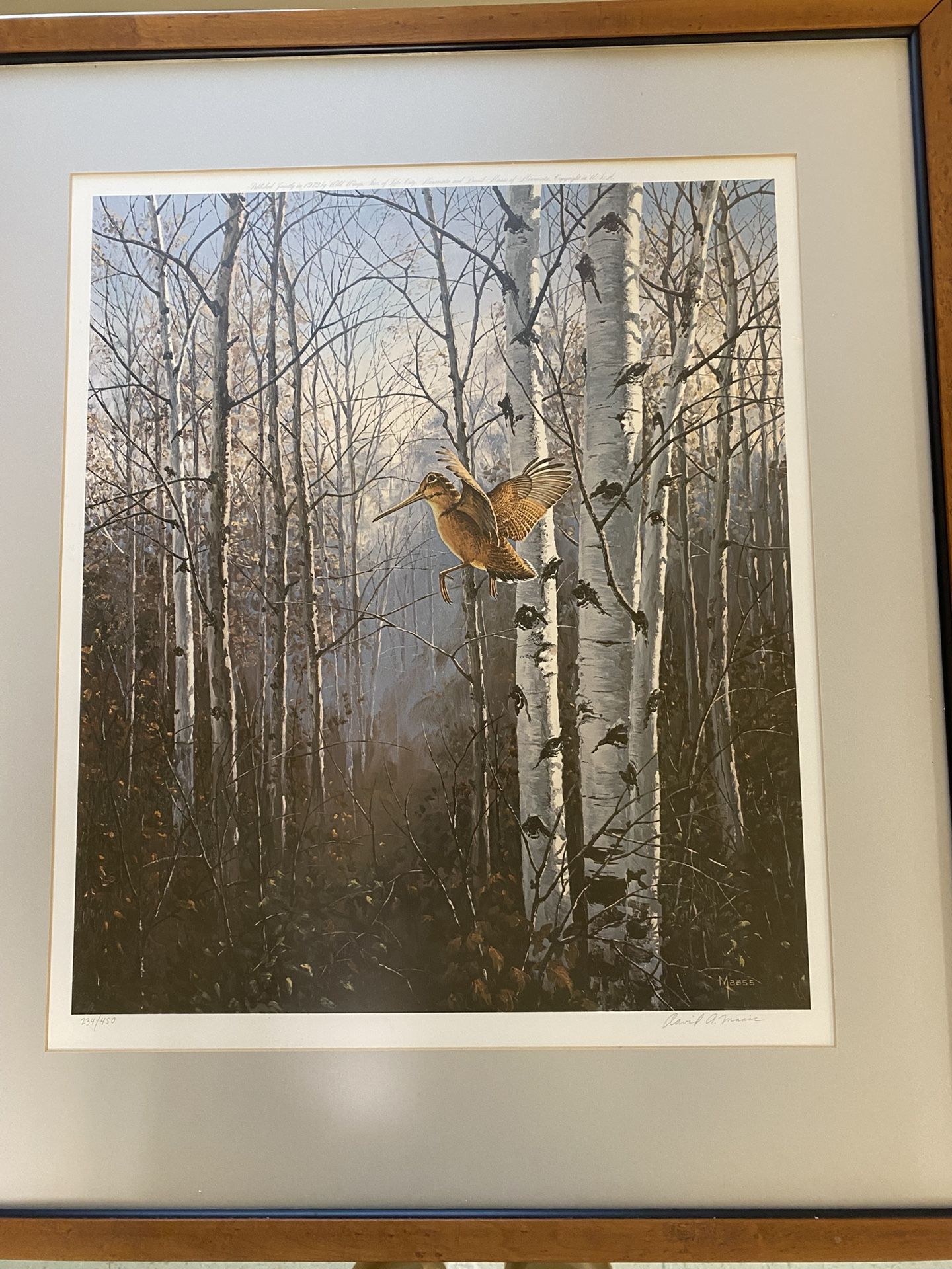 David a Maass Print Signed & Numbered Original Frame