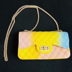 Women Multi-Color Handbag