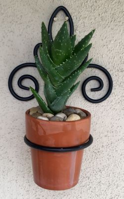 Classic Black Iron wall plant holder (2).