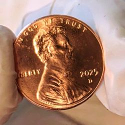 The Last Penny P & D