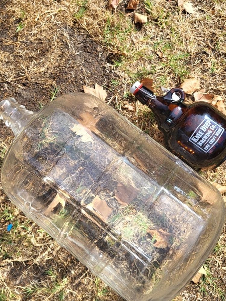 Beer Making Brewery Lot Glass Carboy Made In Italy 18.8L 5 Gallon .53gal 2 Liter Growler