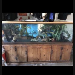100 Gallon aquarium with Cabinet - $100