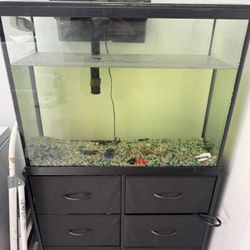 Fish Tank / Pecera
