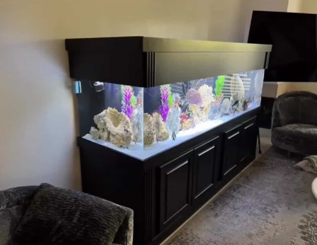 300 gallong aquarium