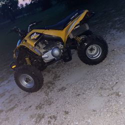 Can Am 250 ds 2021