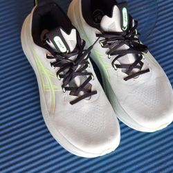 Newest Model Asics Nimbus 28..