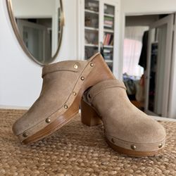 Leather Steve Madden Klicky Suede clogs