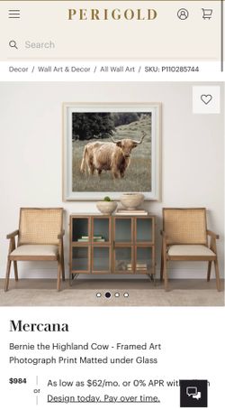 Highland Cow Framed Canvas Print