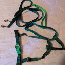 2 Hounds Harness & Leash