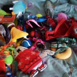 Toys, Collars, Leashes 