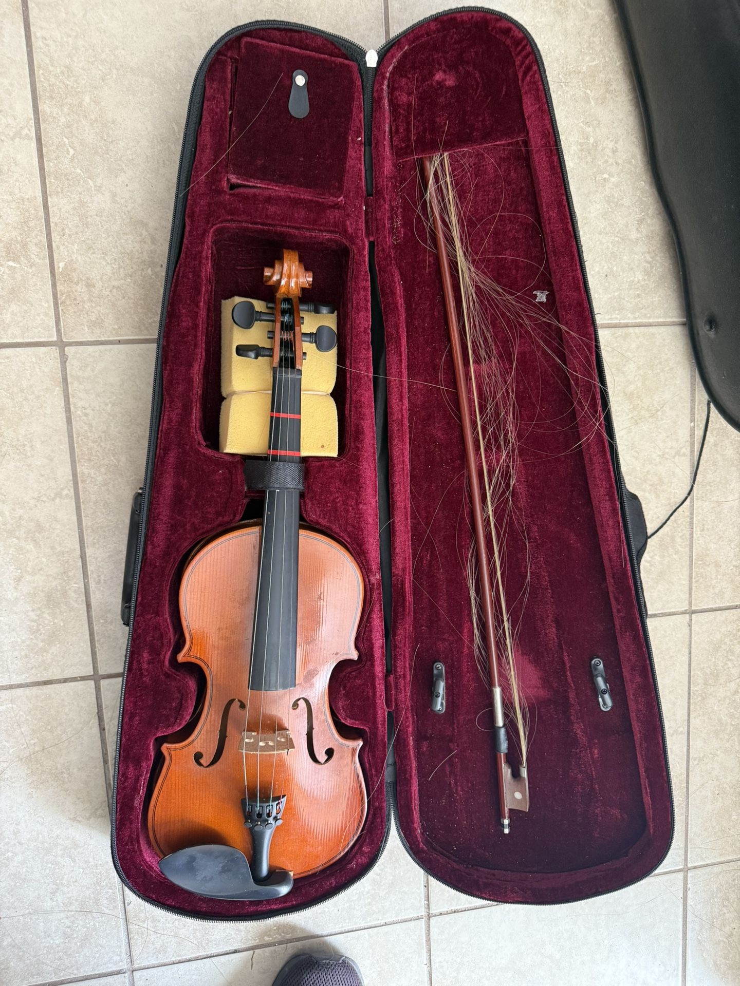 Violin
