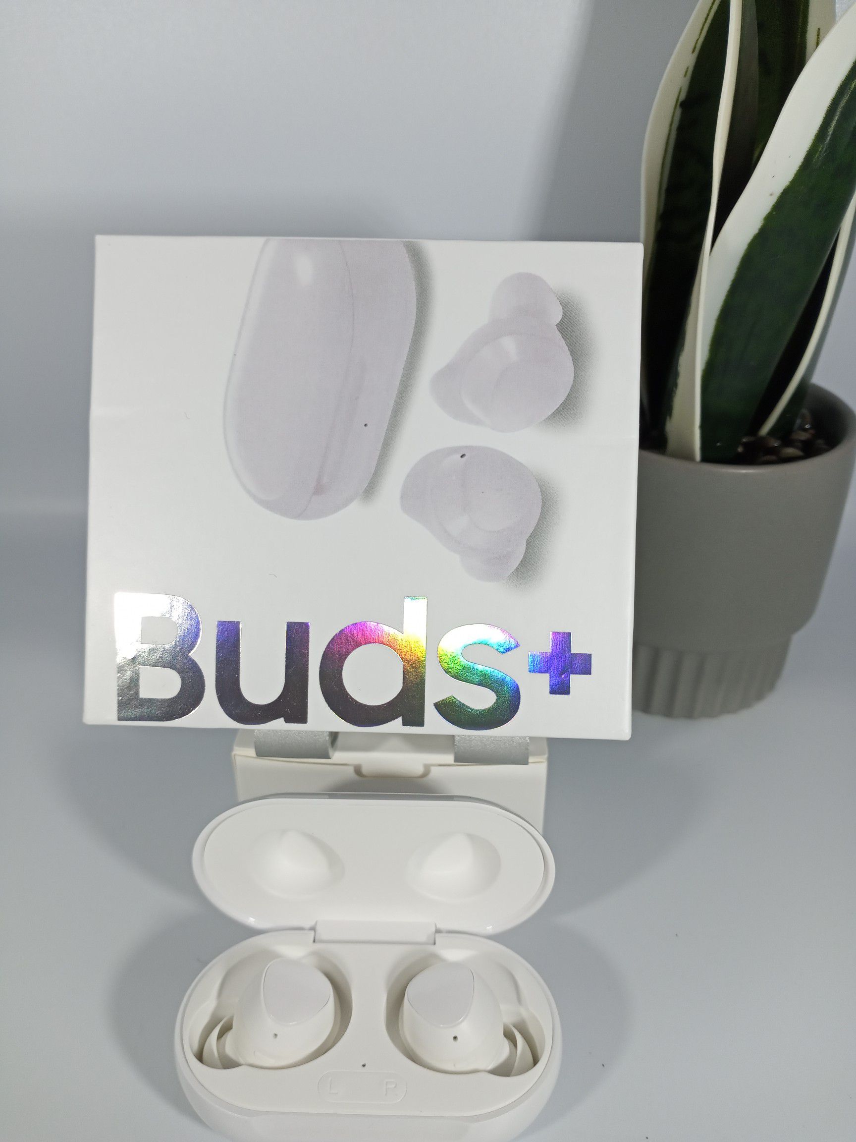 Buds + Earbuds, 11 hrs Play Time, 2 Way Speaker for Rich Sound, Triple Mics for Clear Voice Call and Qi Compatible Wireless Charging