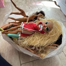 Bag Full Of Barbies And Accessories