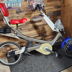 Ebike