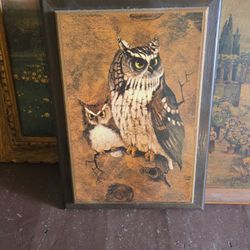 Majestic Owl Wall Photo