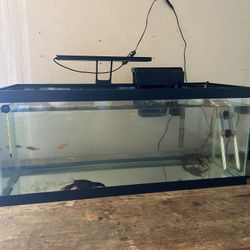 20 Gallon Long Fish Tank 