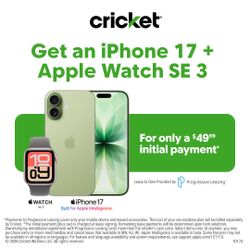 Cricket