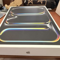 iPad Pro M4 13” Wifi 