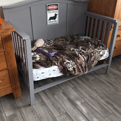 Elevated Dog Bed