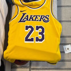 LeBron James Los Angeles Lakers Icon Edition