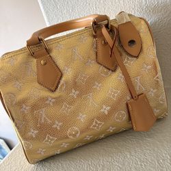 Louis Vuitton Speedy P9 Bandoulière 25