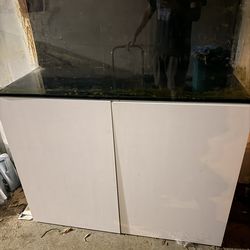saltwater tank waterbox breakdown $300