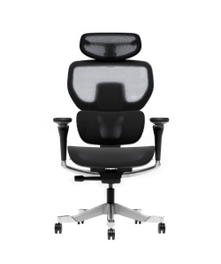 FlexiSpot C7B-M1 Ergonomic Office Chair, Black — Brand New